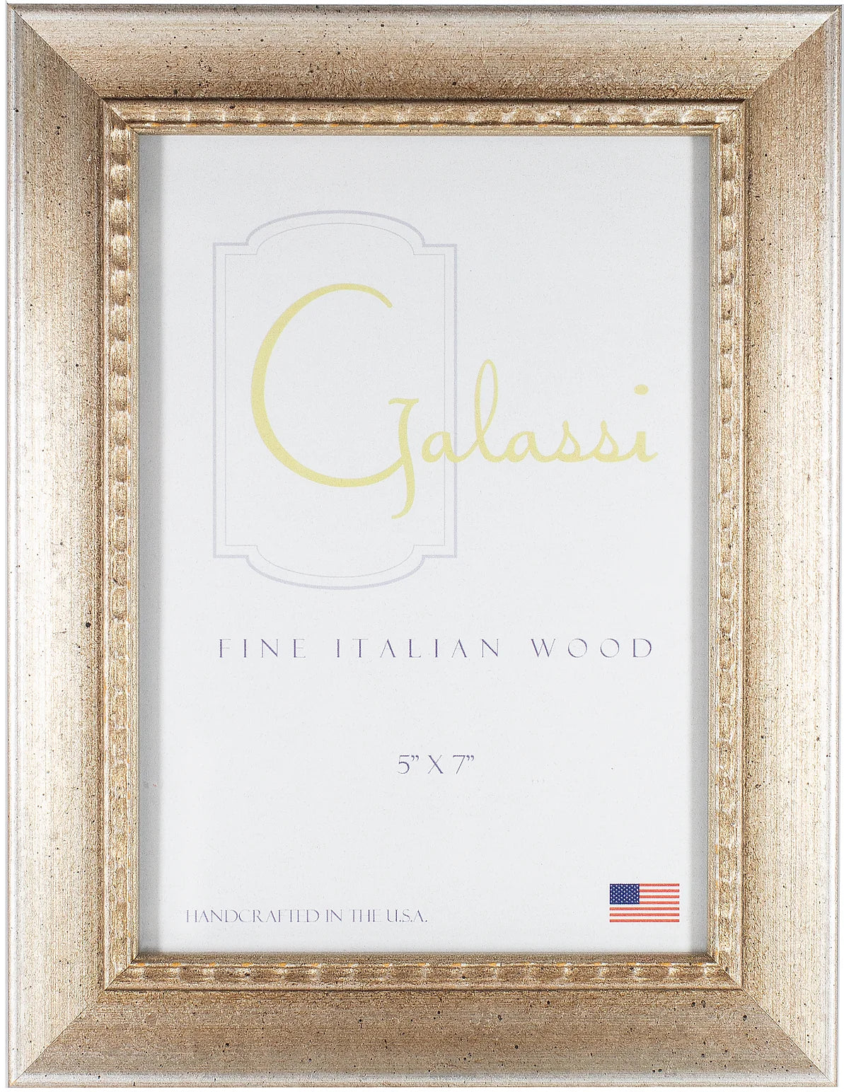 Classic Silver Frame