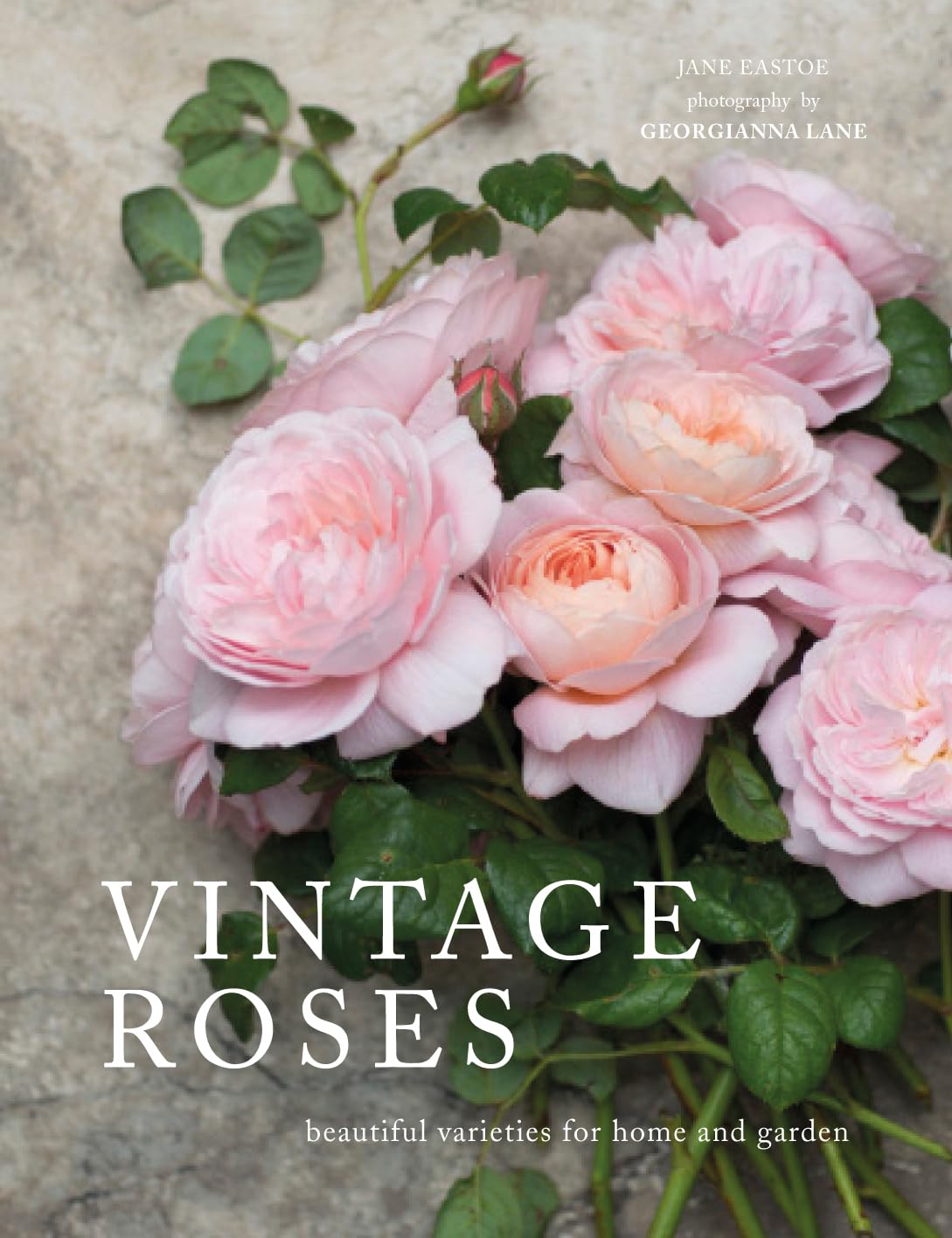 "Vintage Roses" Coffee Table Book