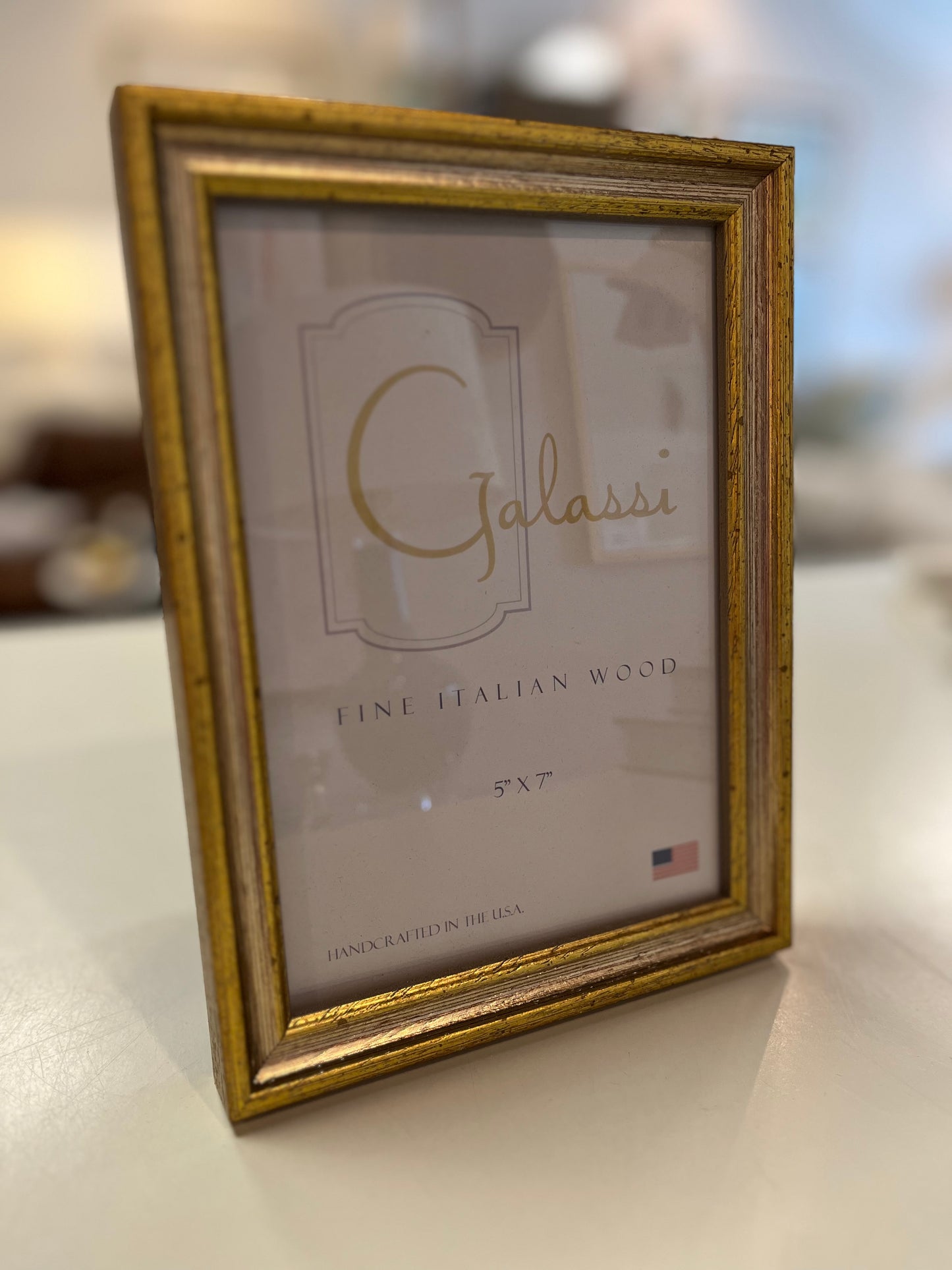 Gold with Silver Traditional Frame 5x7