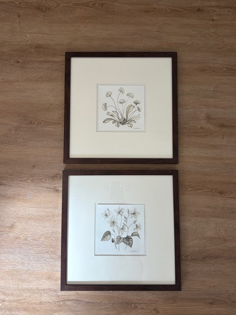 MGH Dark Framed Neutral Botanicals