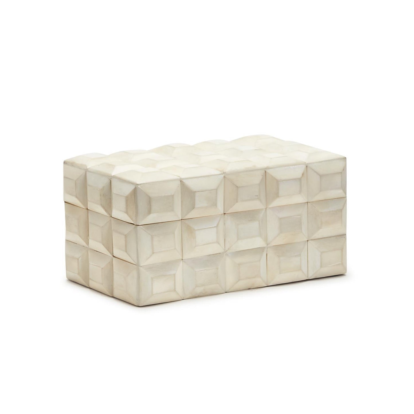 Paneled Bone Box