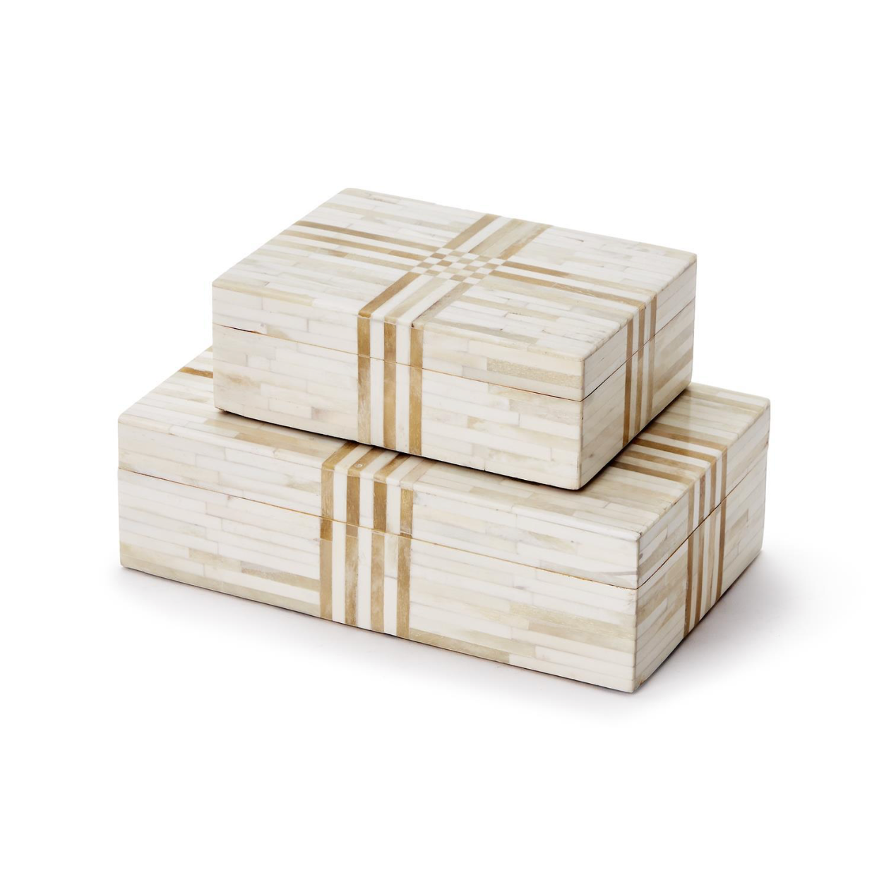 White and Brown Bone Box