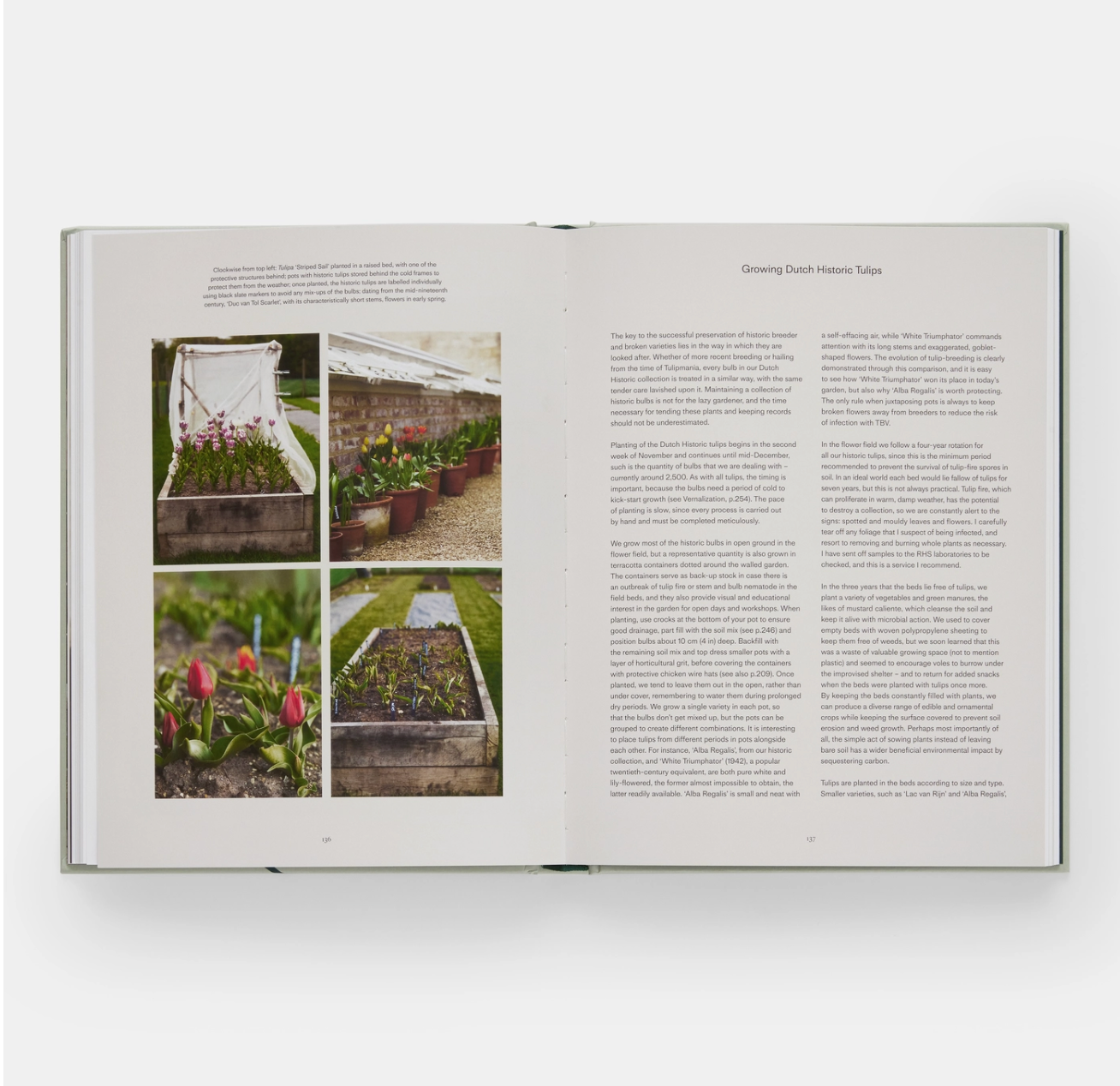 The Tulip Garden Coffee Table Book