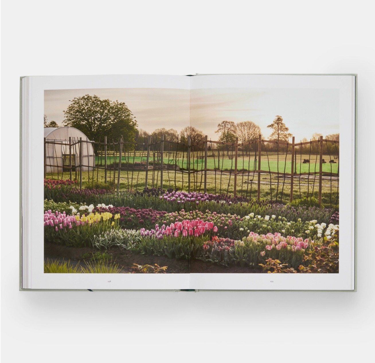 The Tulip Garden Coffee Table Book