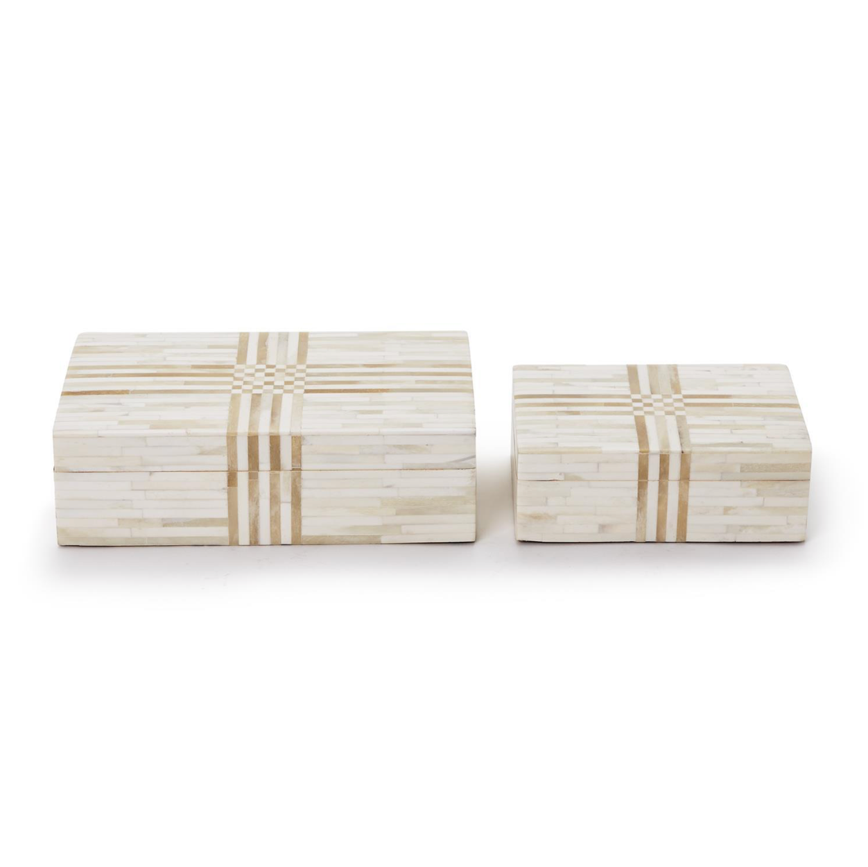 White and Brown Bone Box
