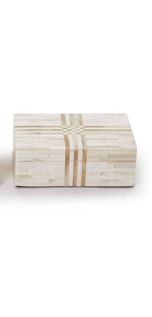 White and Brown Bone Box