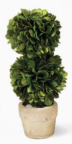 Mini Boxwood Topiary