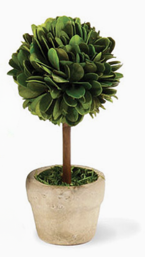 Mini Boxwood Topiary