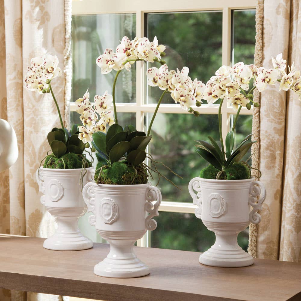 Phalaenopsis Orchid Drop-In 16"