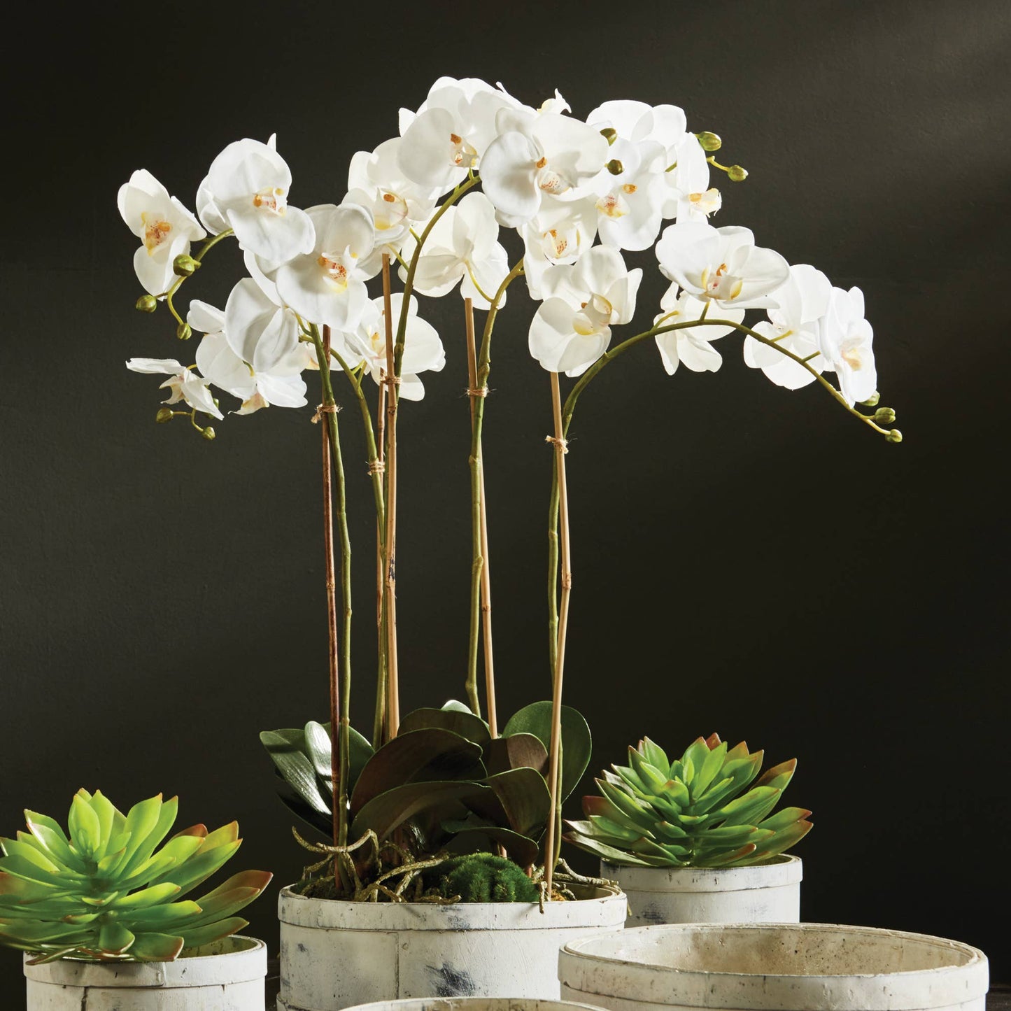 Orchid Bowl Drop-In 25"