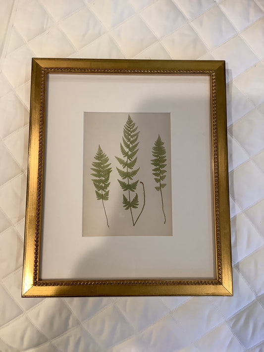 Custom Framed Fern Botanical, 10.5 x 12