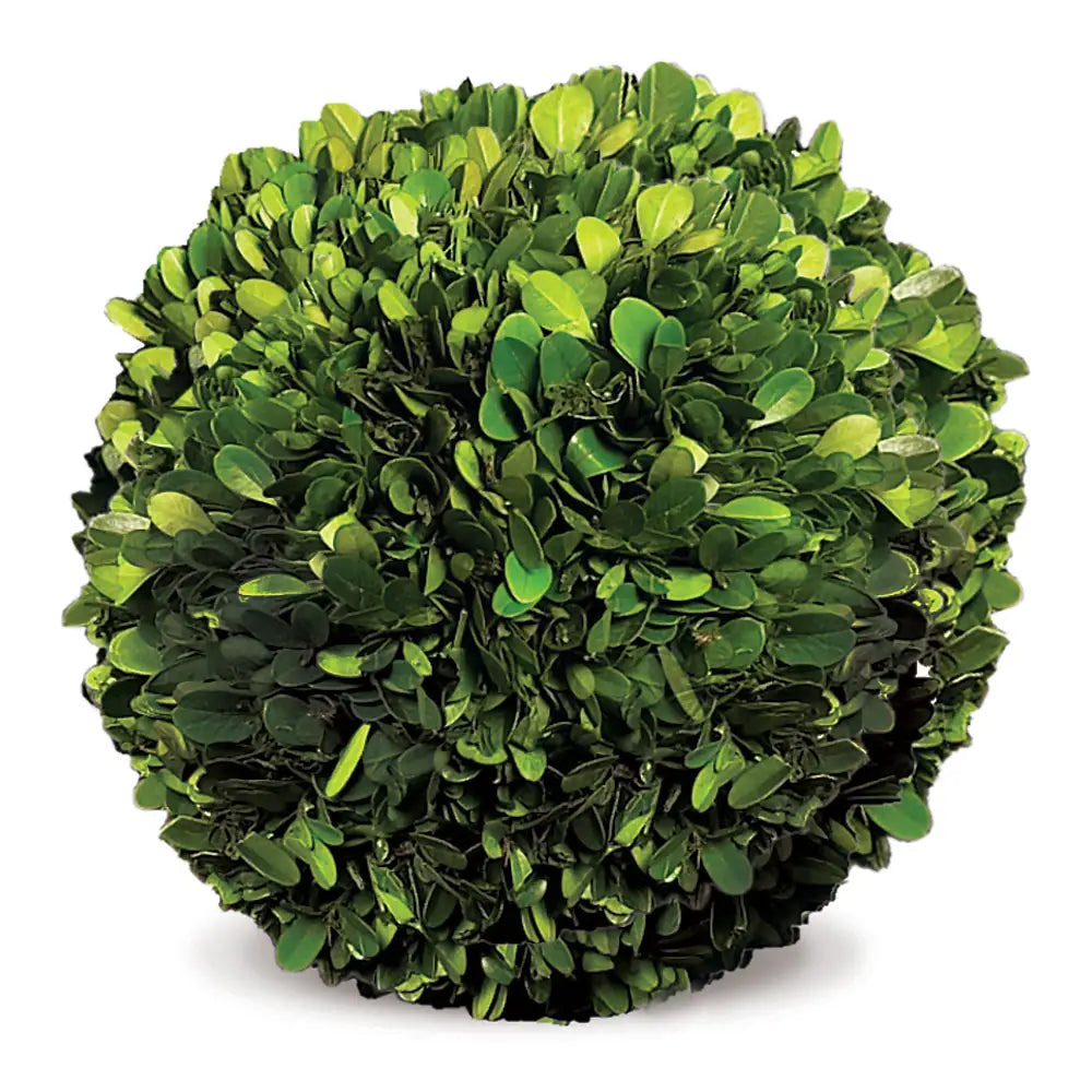 Boxwood ball "8