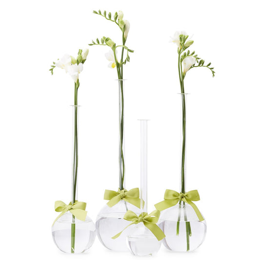 Bubble Vases with Green Ribbon