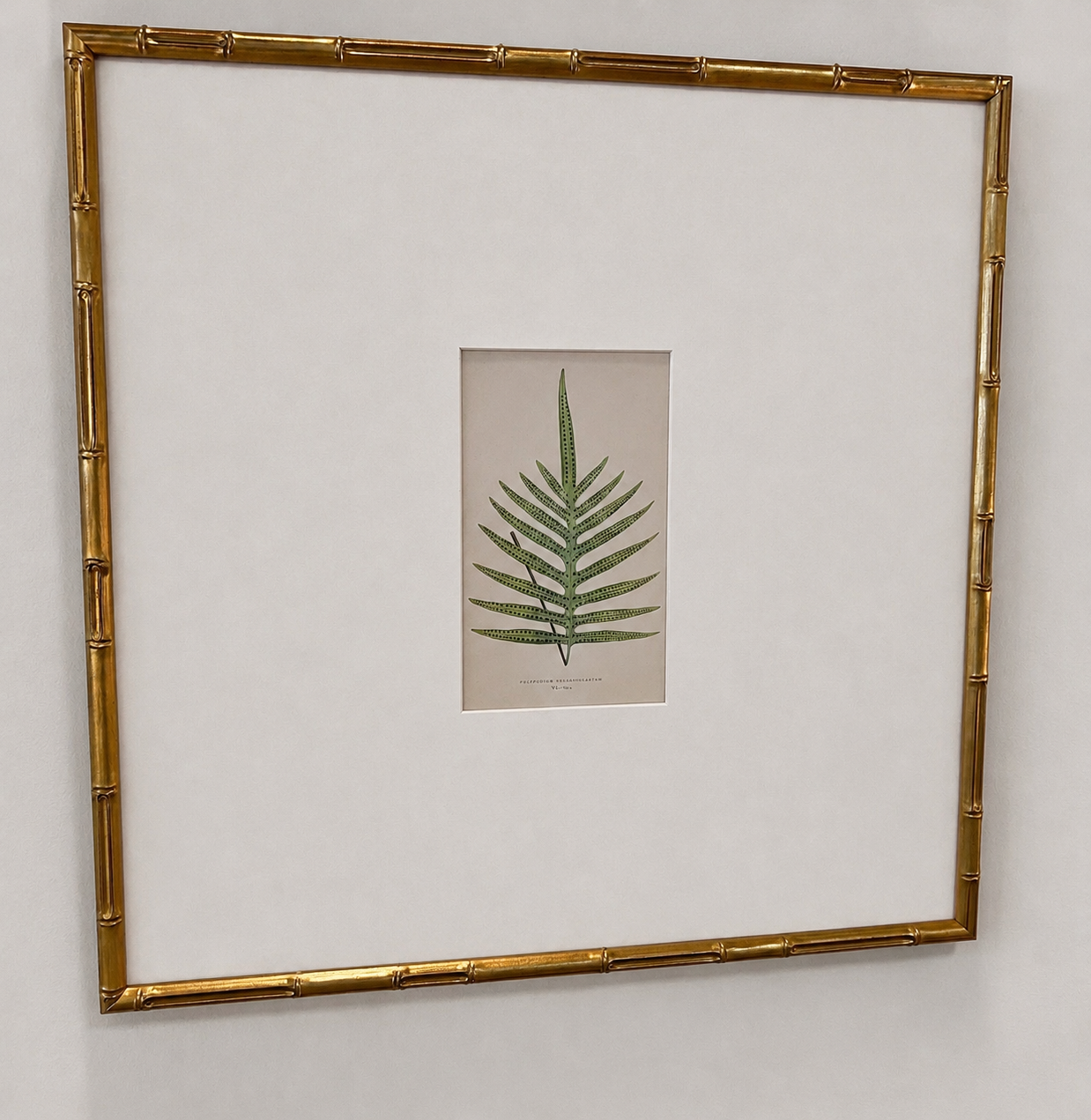 Custom Framed Fern Botanical