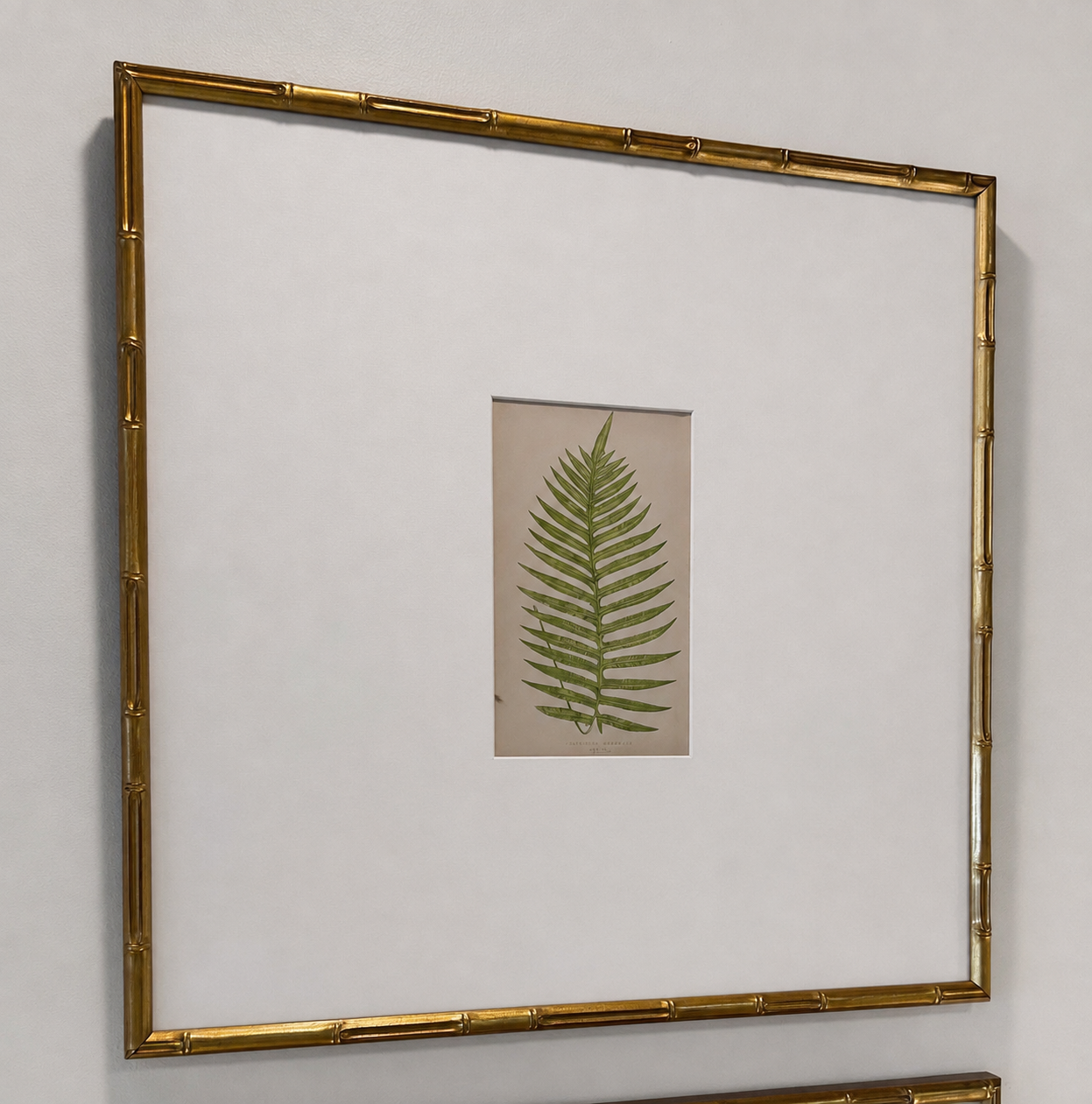 Custom Framed Fern Botanical