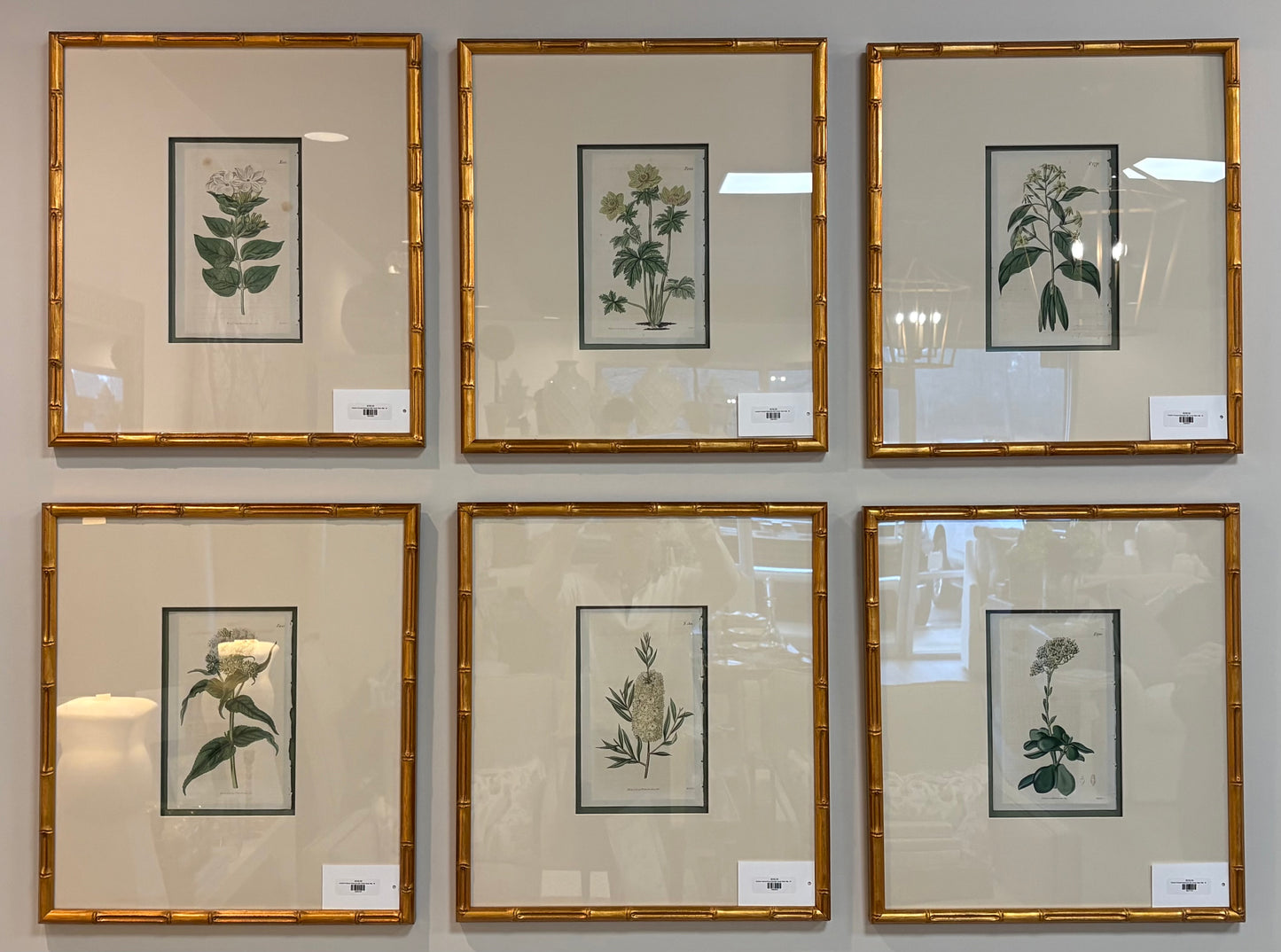 Custom Framed Botanical with Green Back Mat, 16x18