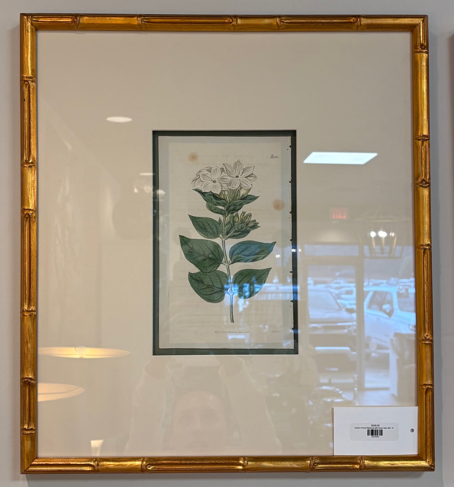 Custom Framed Botanical with Green Back Mat, 16x18