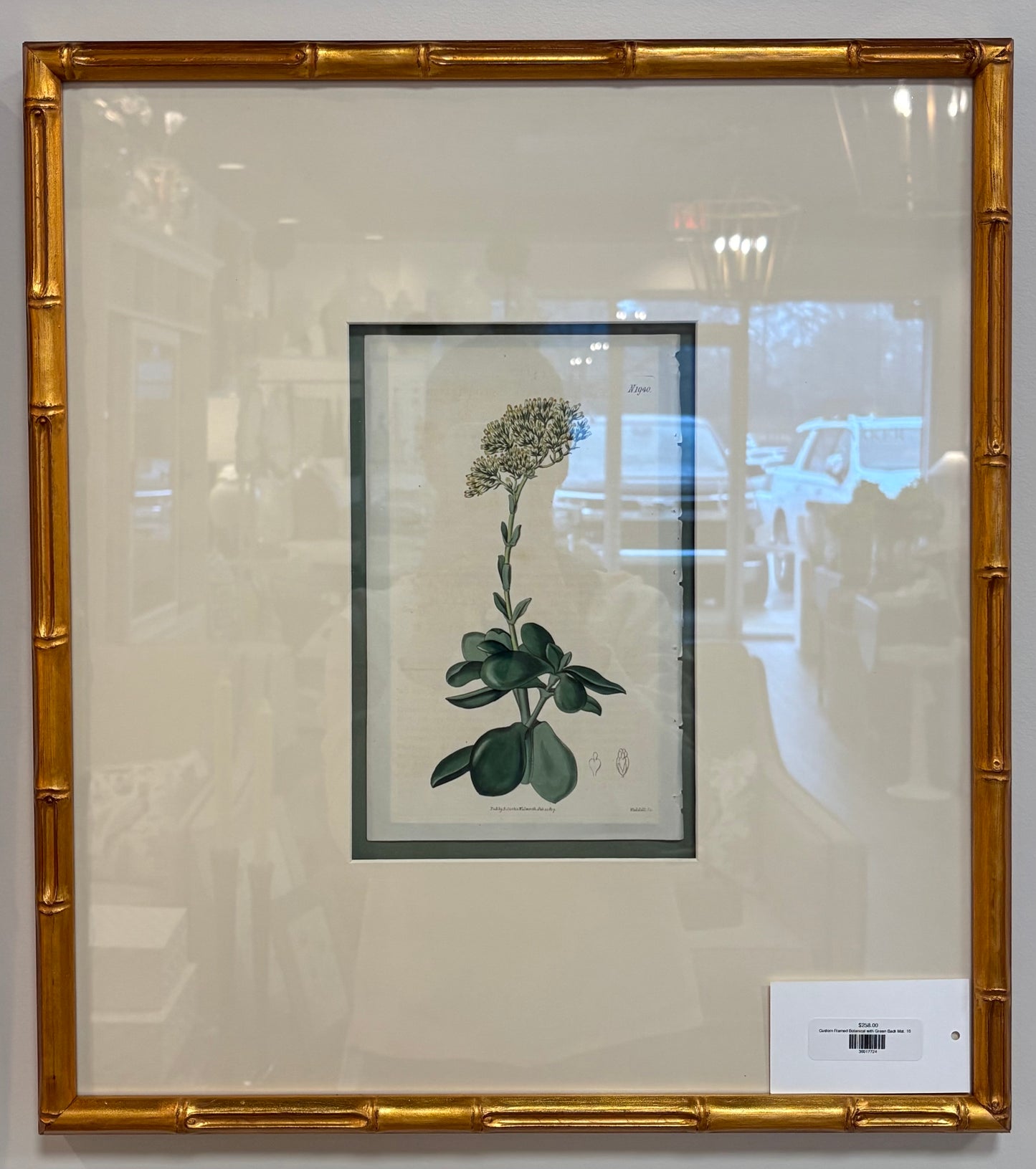 Custom Framed Botanical with Green Back Mat, 16x18