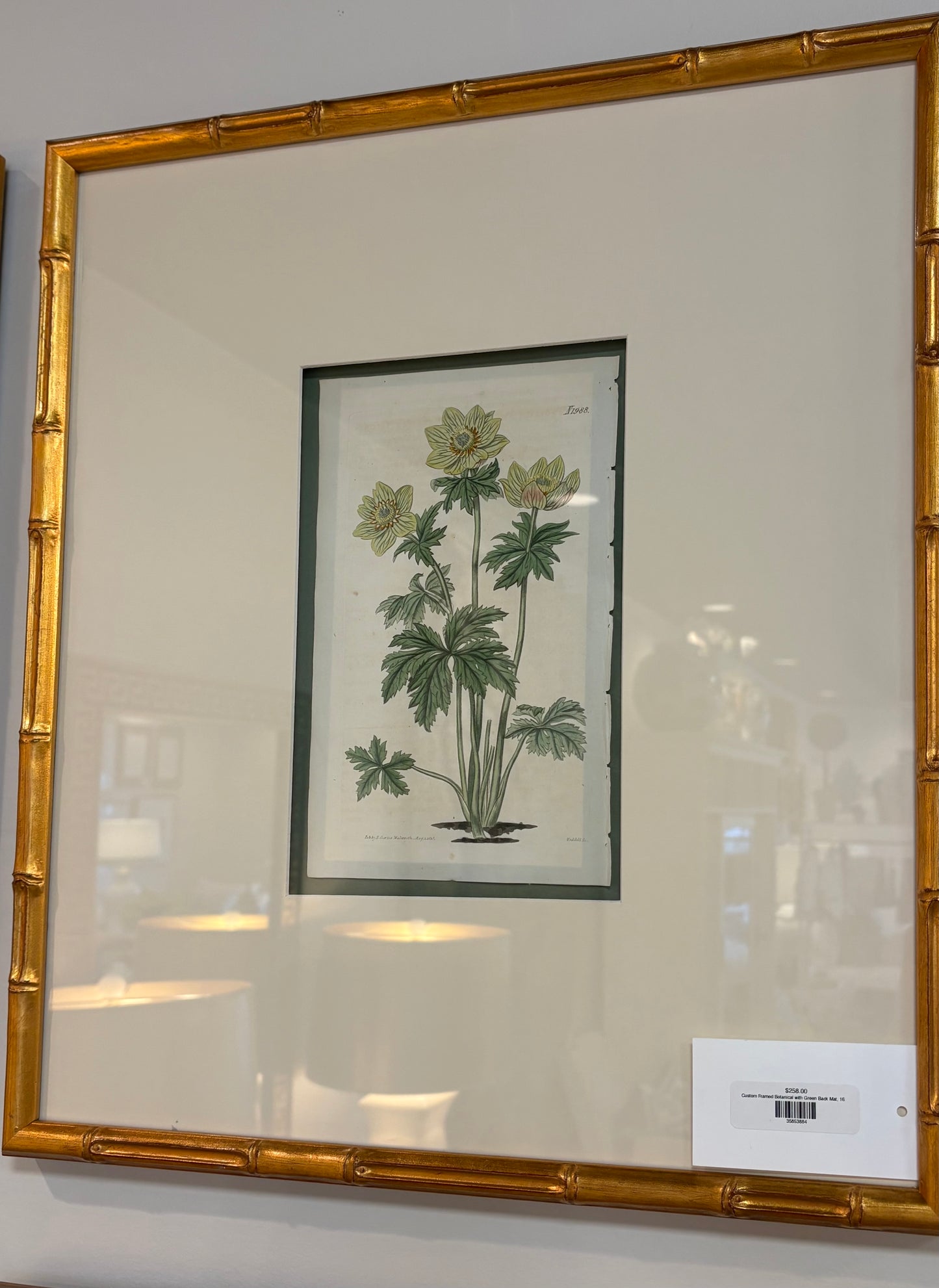 Custom Framed Botanical with Green Back Mat, 16x18