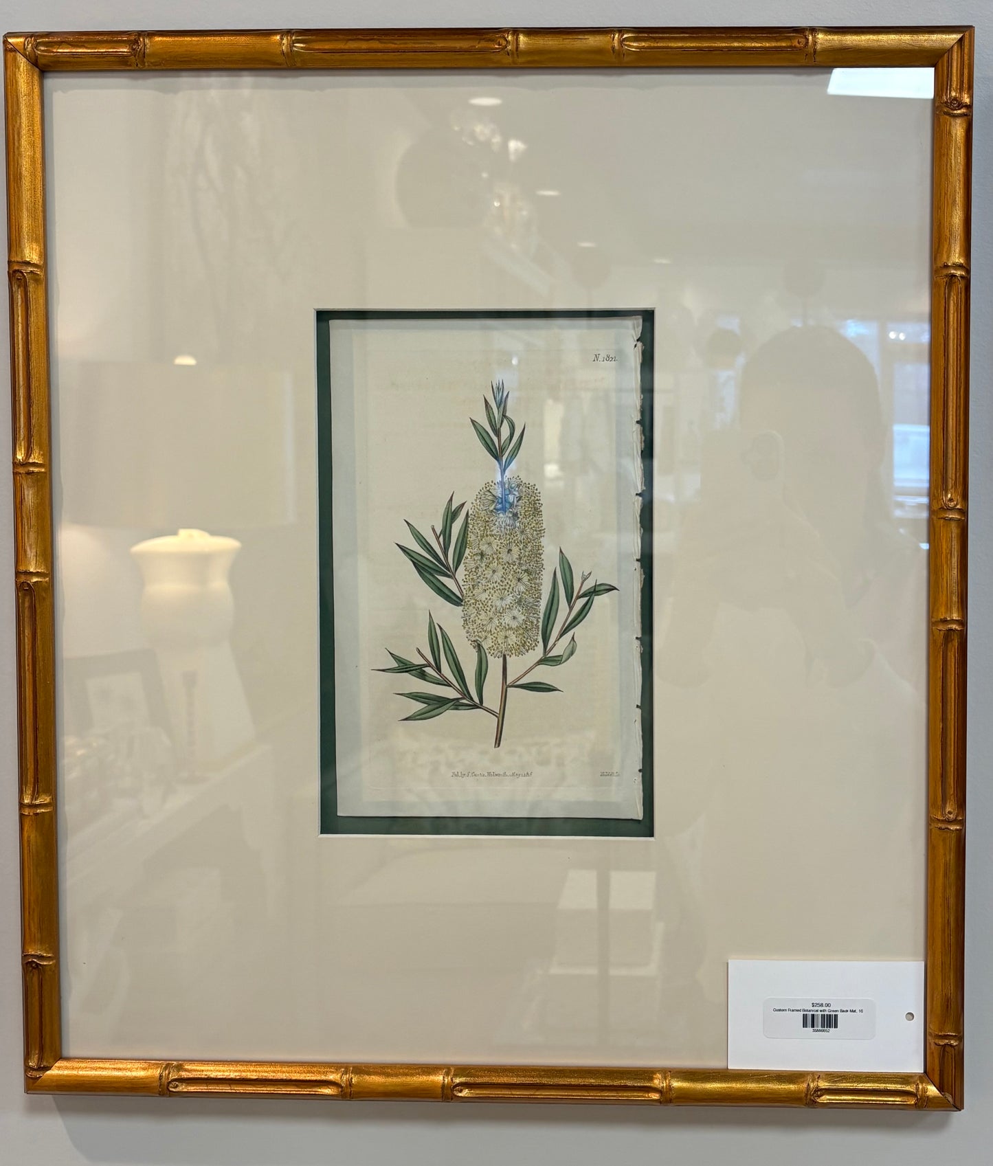 Custom Framed Botanical with Green Back Mat, 16x18