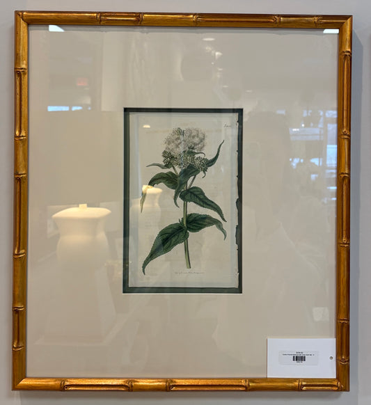 Custom Framed Botanical with Green Back Mat, 16x18
