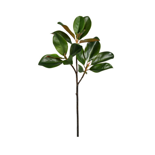 Magnolia Branch 24"