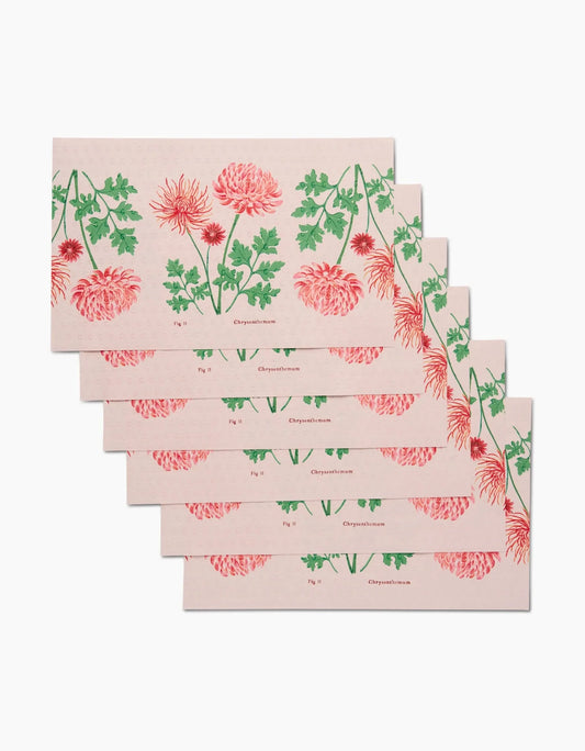Chrysanthemum Not Paper Towels