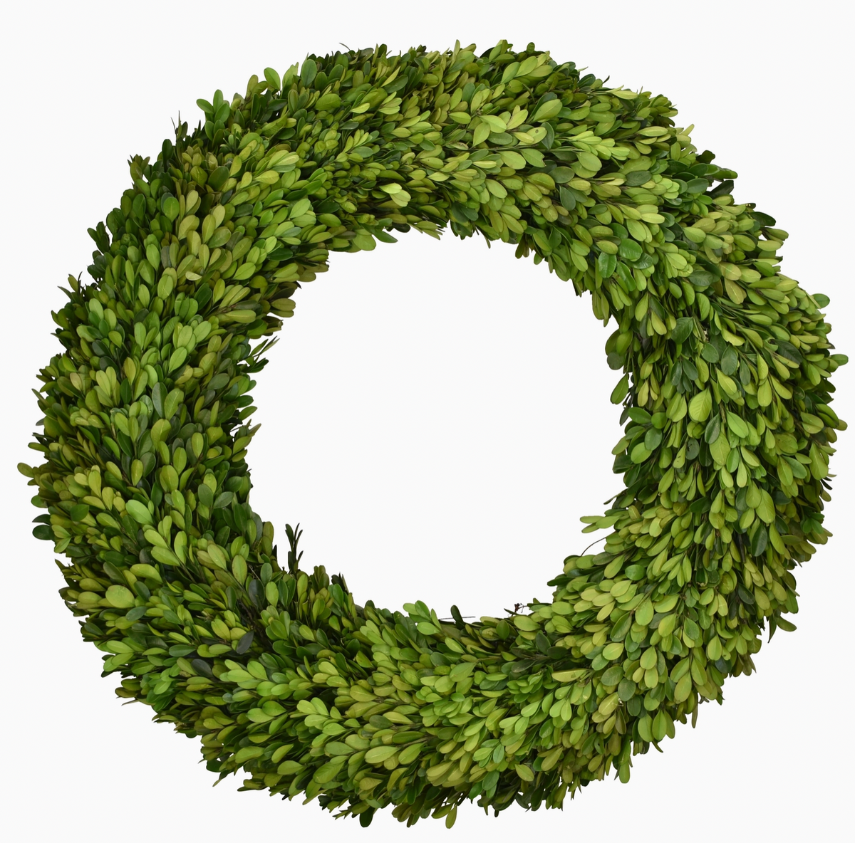 Boxwood Wreath 20"