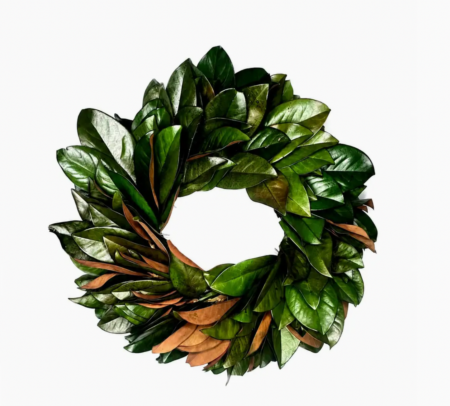 Magnolia Wreath Preserved