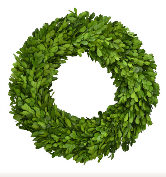 Preserved Boxwood Wreath 14"