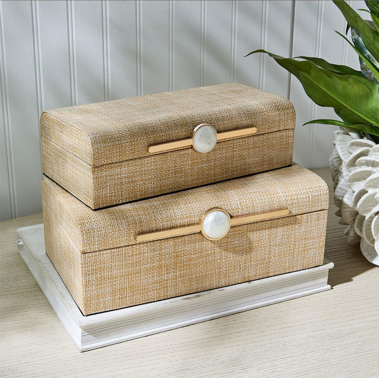 Natural Grass Boxes