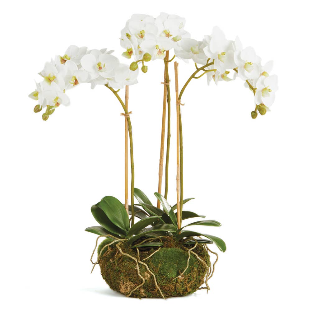 Orchid 3 Spray Drop-In